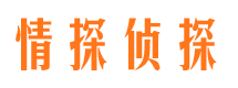 下陆市私家调查